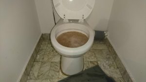 Read more about the article Un toilette bouché : le cauchemar de tout propriétaire et locataire!